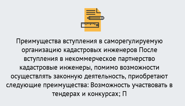 Почему нужно обратиться к нам? Моршанск Что дает допуск СРО кадастровых инженеров?