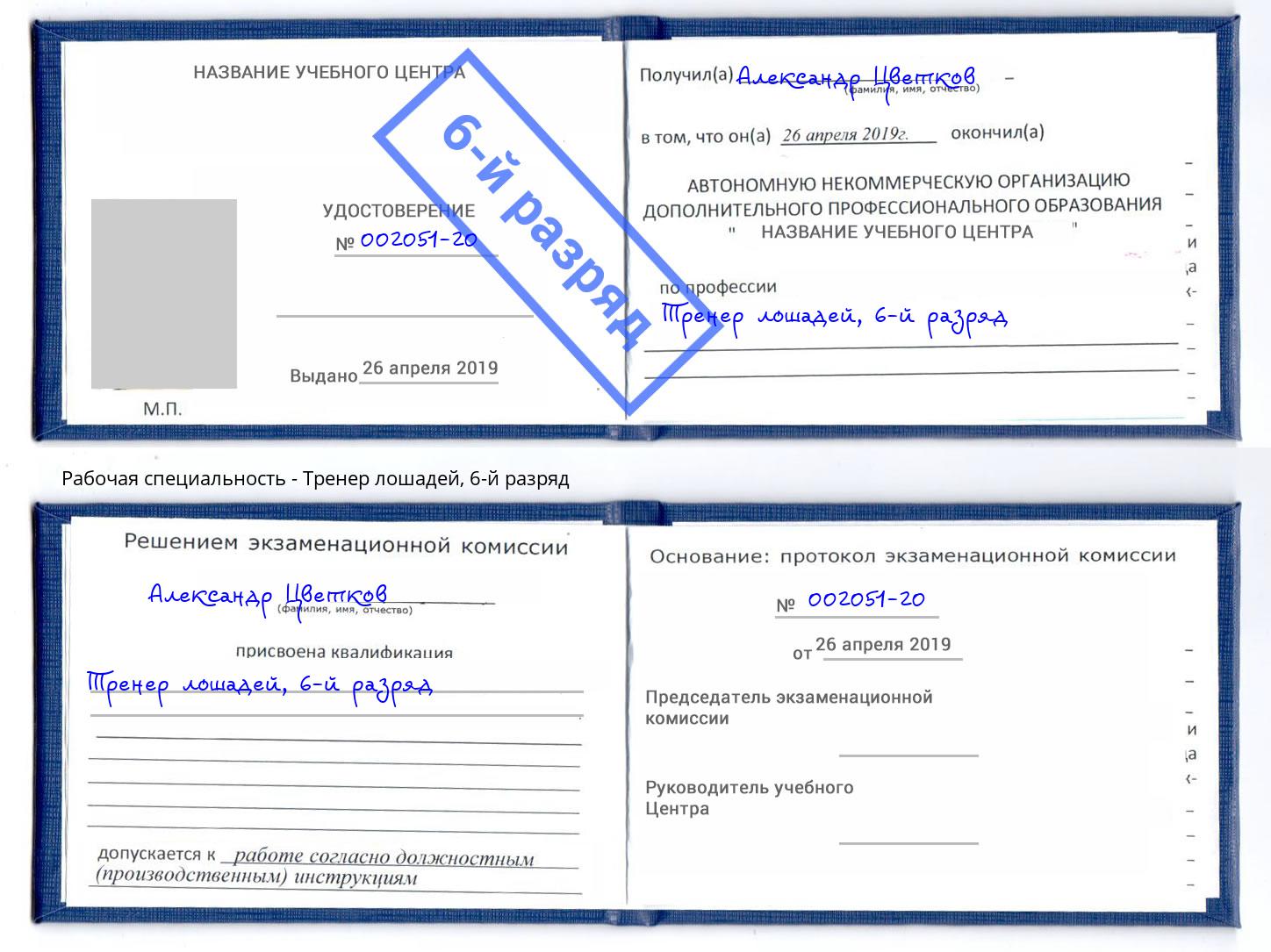 корочка 6-й разряд Тренер лошадей Моршанск