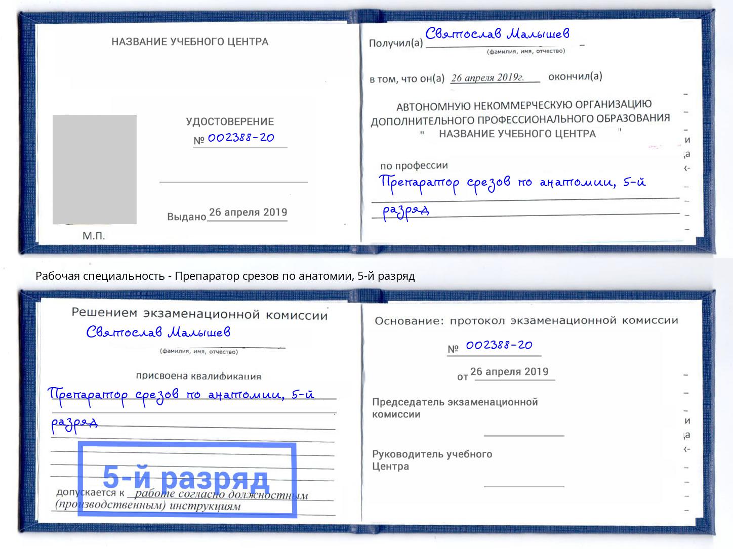 корочка 5-й разряд Препаратор срезов по анатомии Моршанск