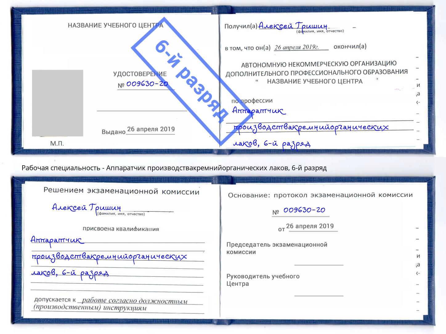 корочка 6-й разряд Аппаратчик производствакремнийорганических лаков Моршанск