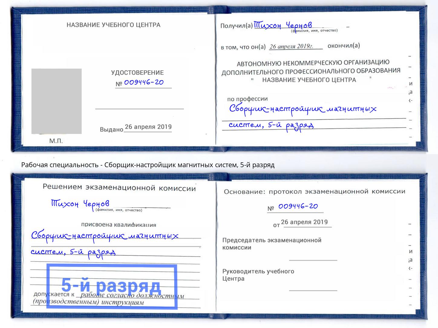 корочка 5-й разряд Сборщик-настройщик магнитных систем Моршанск